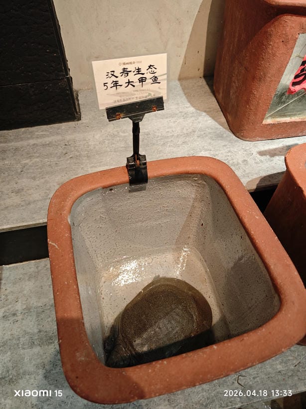 周守俭
