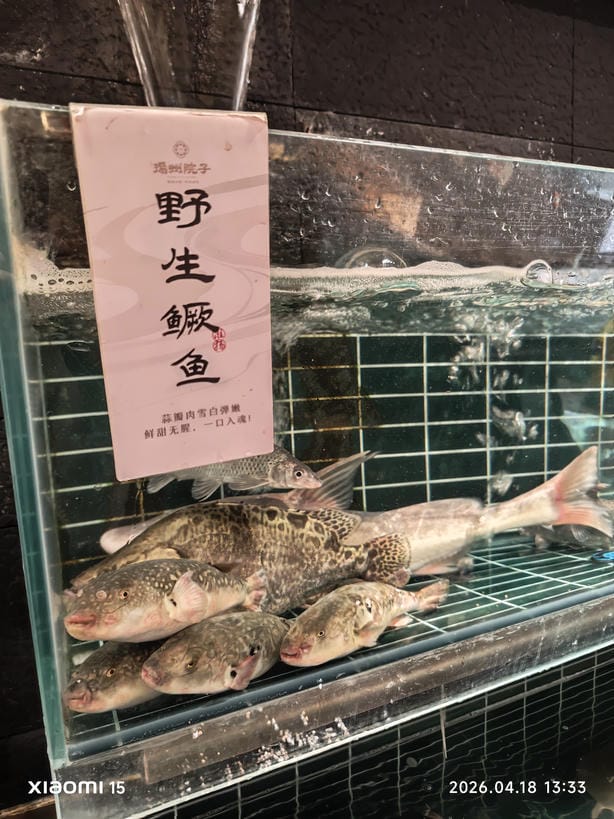 周守俭