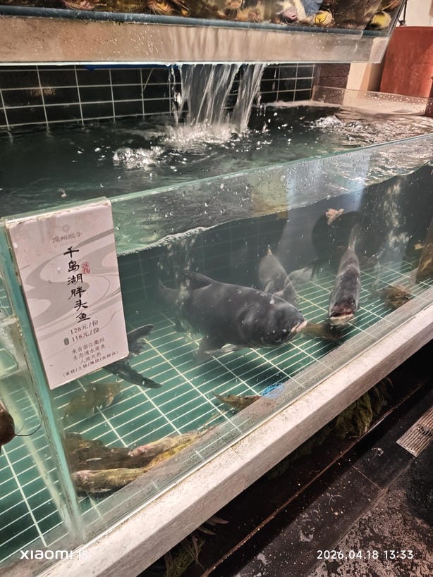周守俭