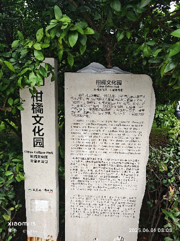 长沙