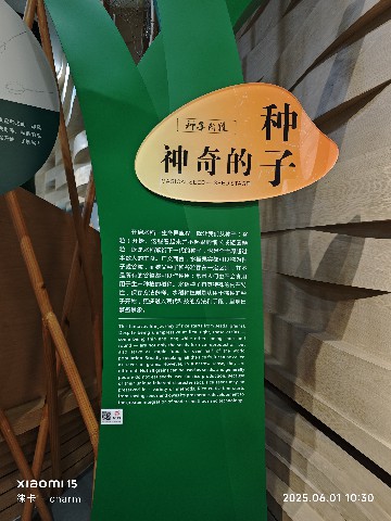 长沙
