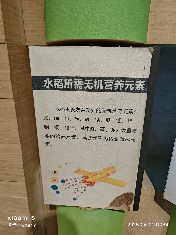 长沙