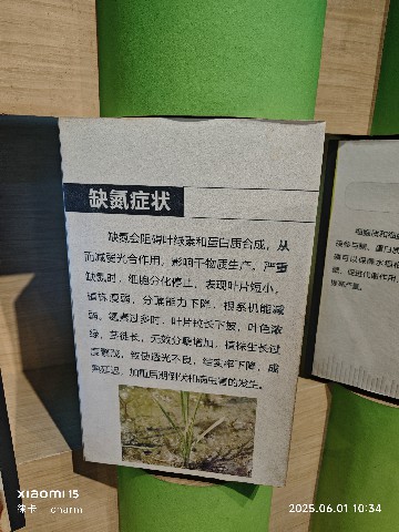 长沙