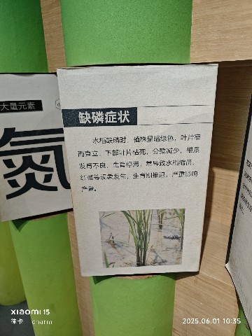 长沙