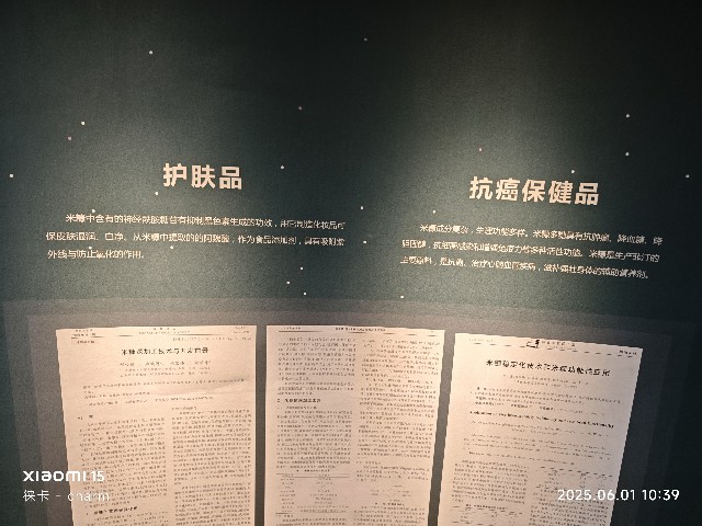 长沙