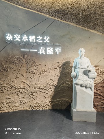 长沙
