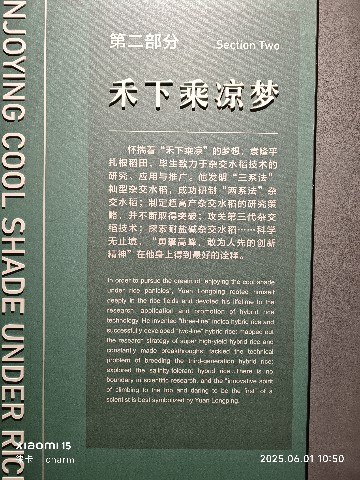 长沙