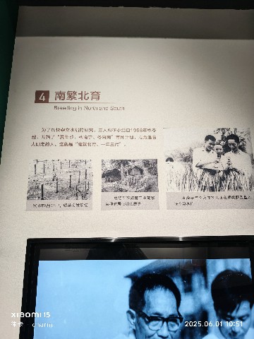 长沙