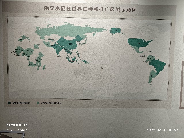 长沙