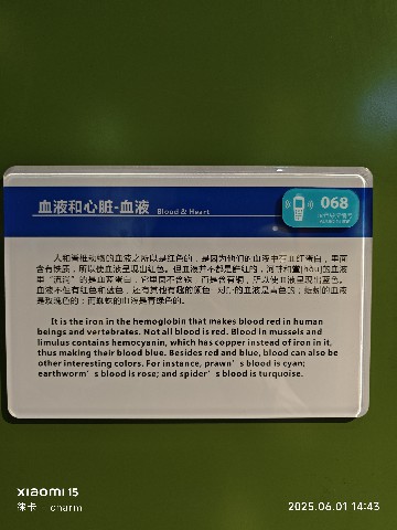 长沙