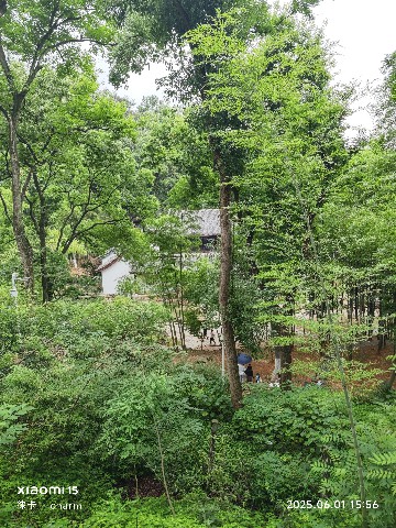 长沙