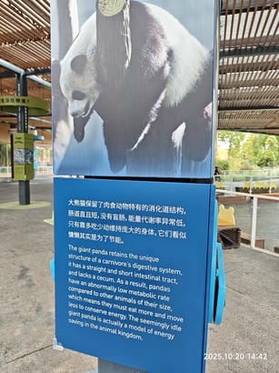 周守俭