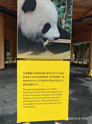 周守俭
