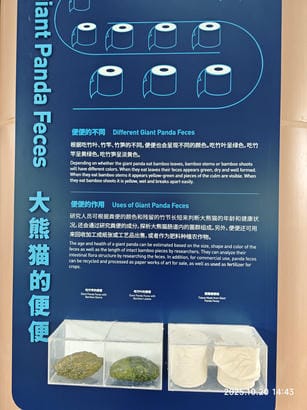 周守俭