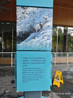 周守俭