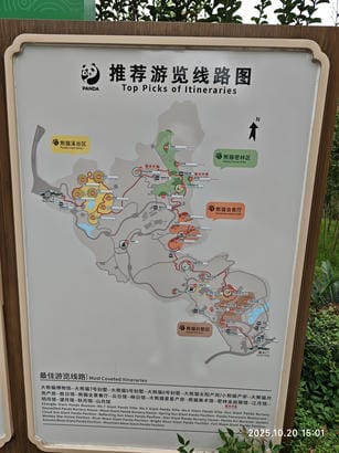 周守俭