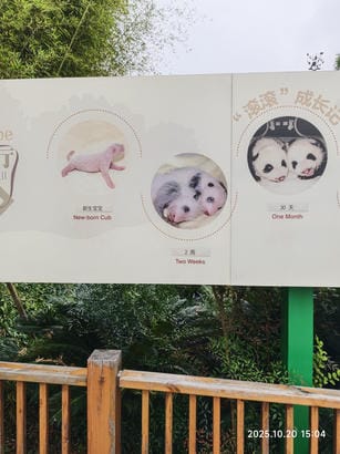 周守俭