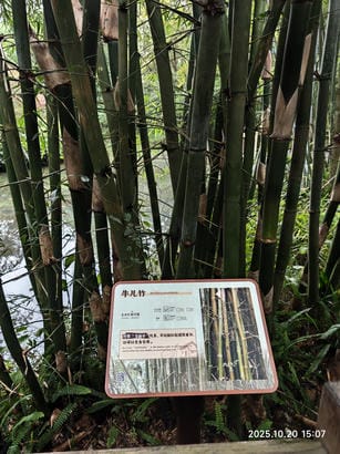 周守俭