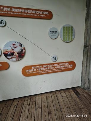 周守俭