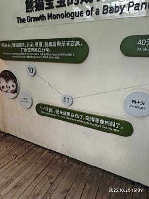 周守俭