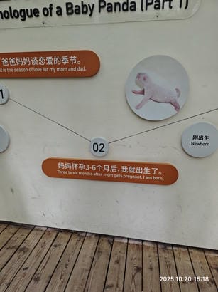 周守俭