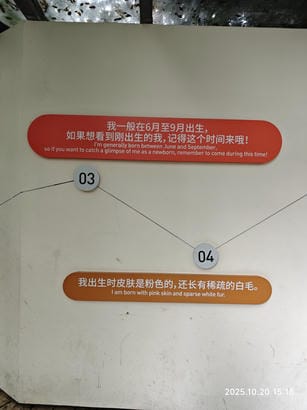 周守俭