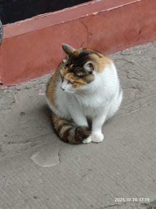 周守俭