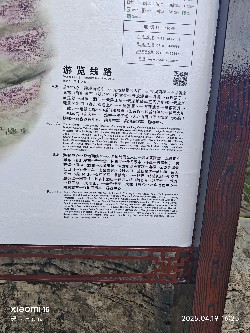 恩施