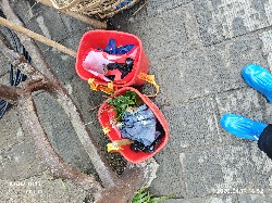 恩施