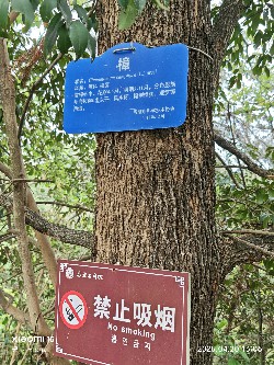 恩施