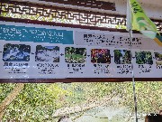 贵阳