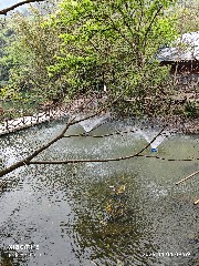 贵阳