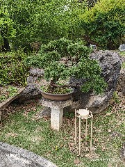 贵阳