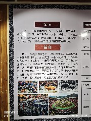 贵阳