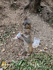 贵阳