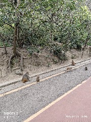 贵阳