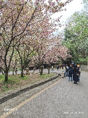 贵阳