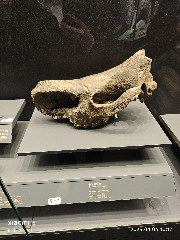 贵阳