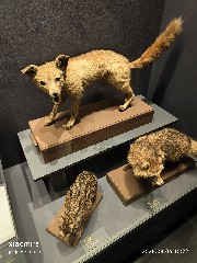 贵阳