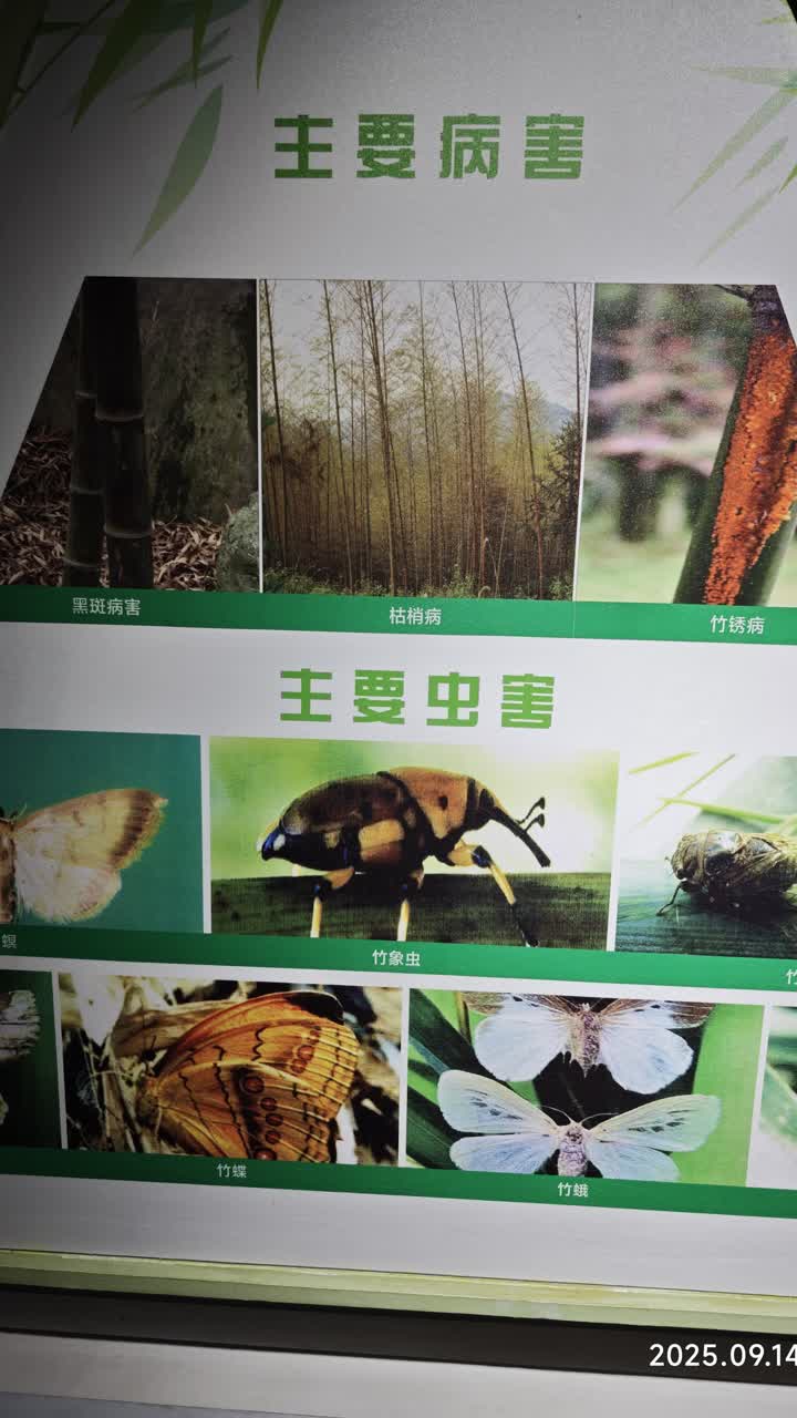湖州