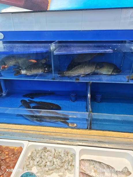 济南