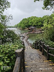 宁波
