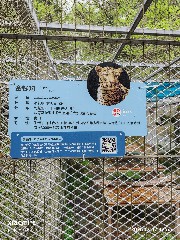 宁波