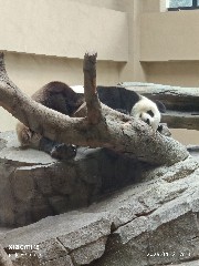 宁波
