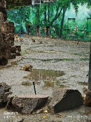 宁波