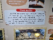 宁波