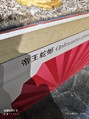 宁波
