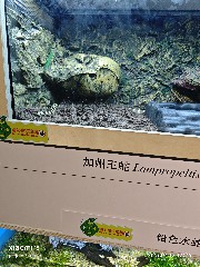 宁波