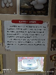 宁波