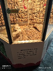 宁波